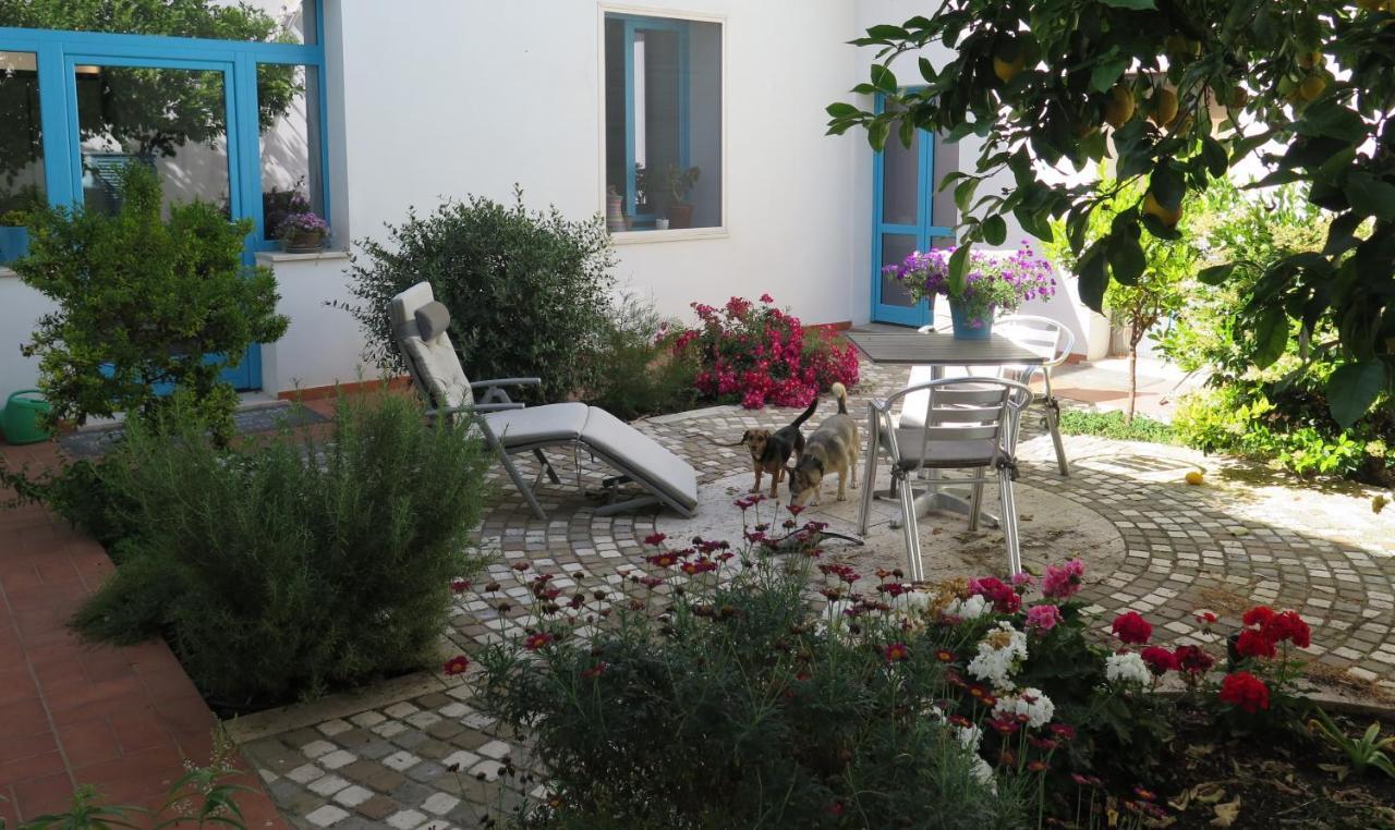 B&B-Le Rondini Monserrato Zewnętrze zdjęcie